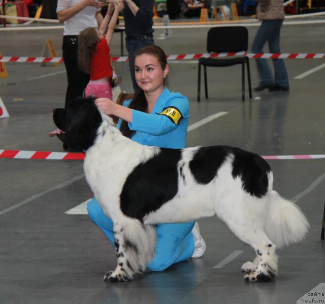 Фотография № 35046