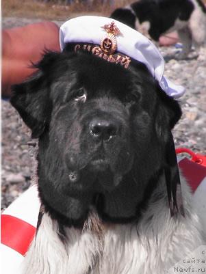 Фотография № 35062