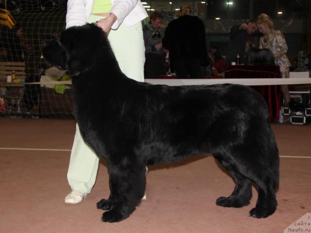 Фотография № 35106