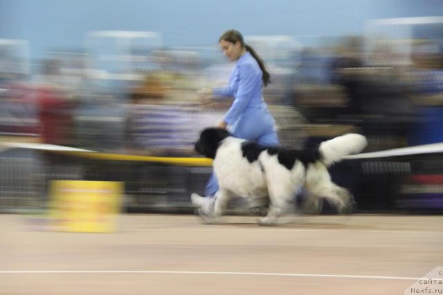 Фотография № 35107