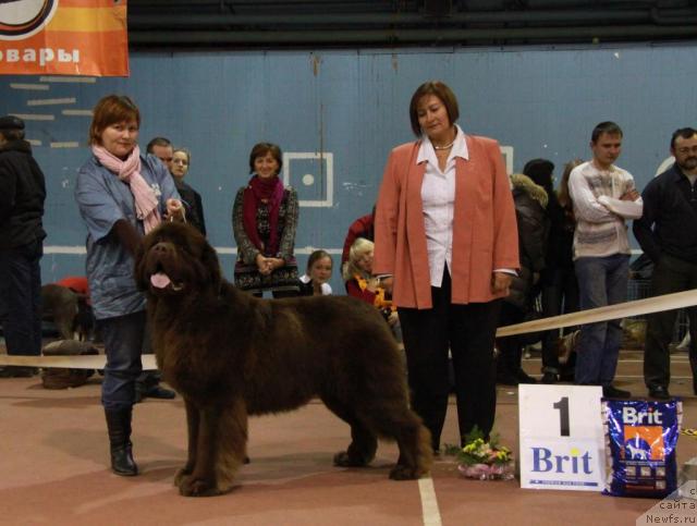 Фотография № 35112