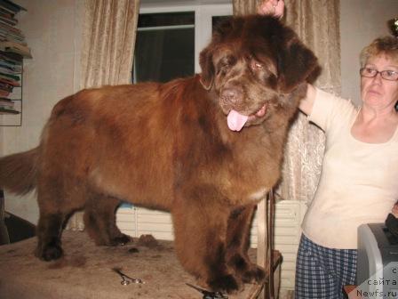 Фото: Бриджит Бардо