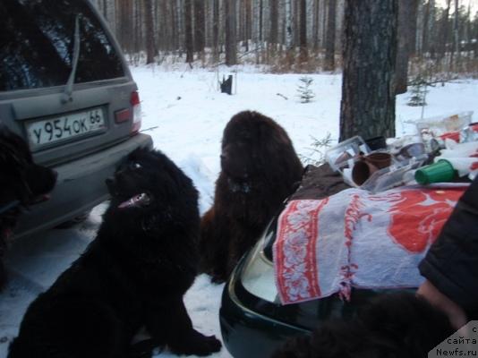 Фотография № 35130