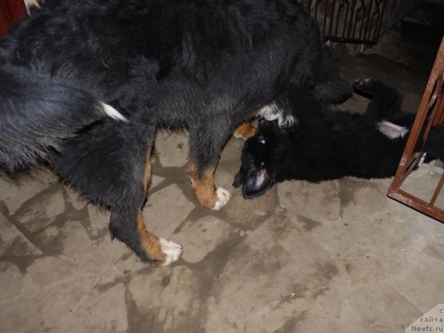 Фотография № 35145