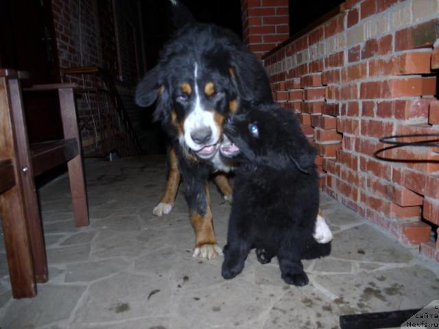 Фотография № 35147