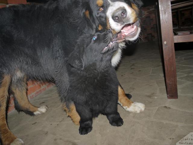 Фотография № 35150