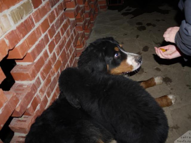 Фотография № 35151