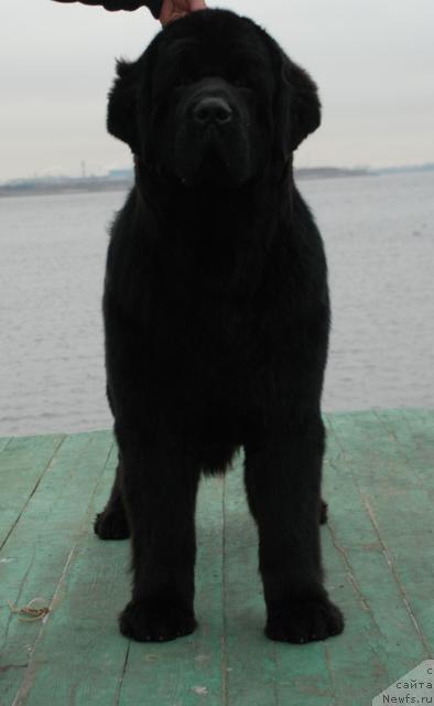 Фотография № 35154