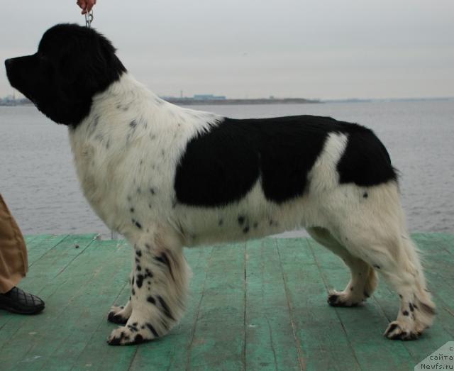 Фотография № 35157