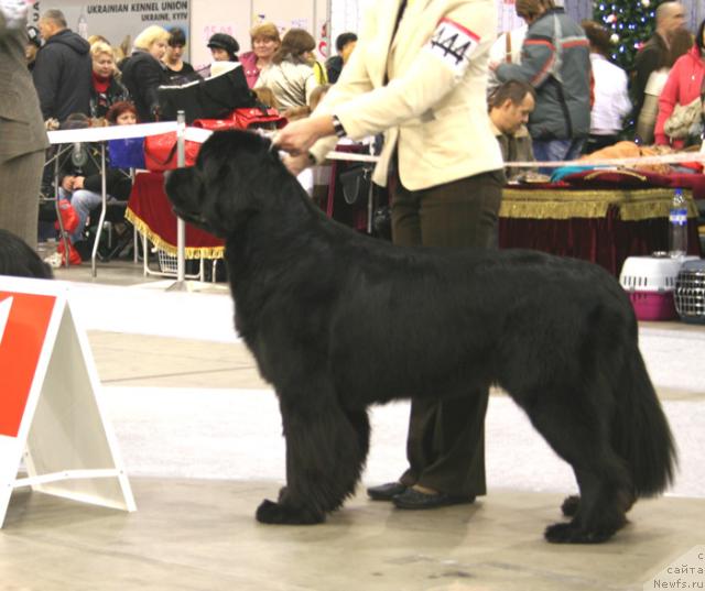 Фотография № 35194