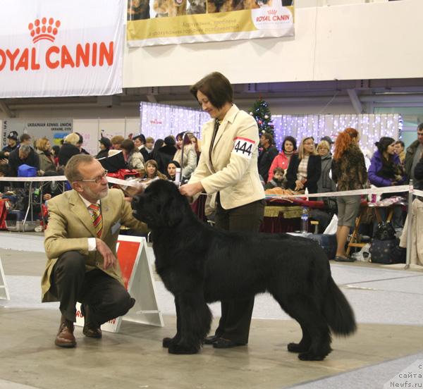 Фотография № 35195