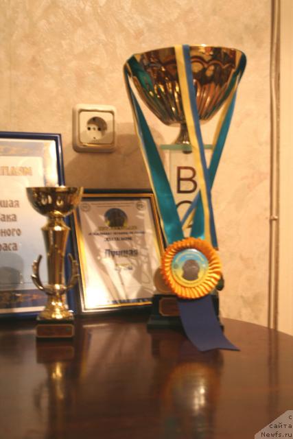 Фотография № 35198