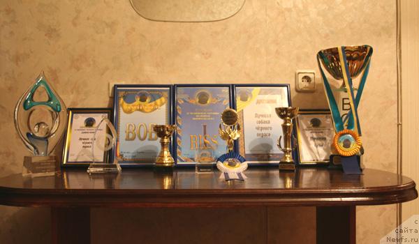 Фотография № 35199