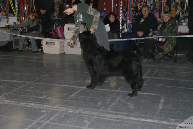 Фотография № 35207