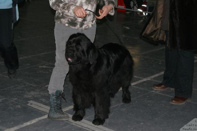 Фотография № 35208