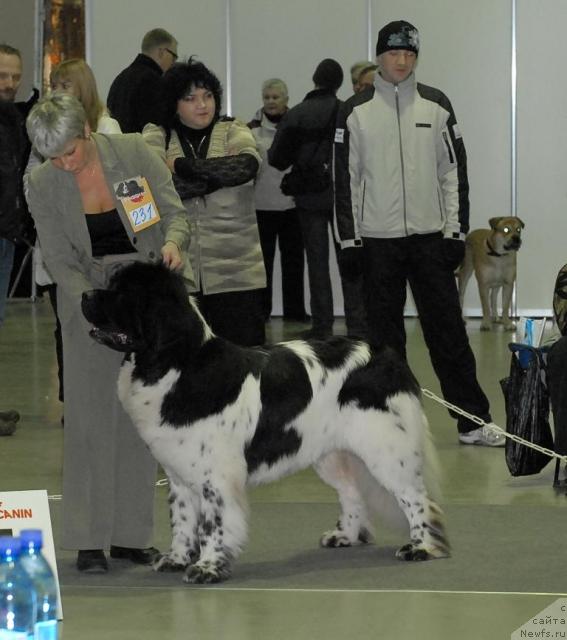 Фотография № 35246