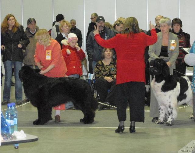 Фотография № 35248