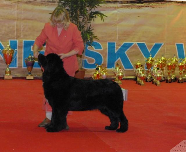 Фотография № 35251