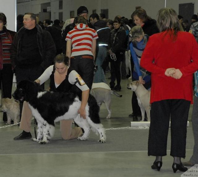 Фотография № 35252