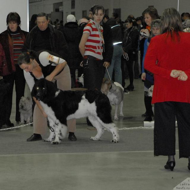 Фотография № 35253