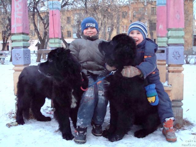 Фотография № 35335