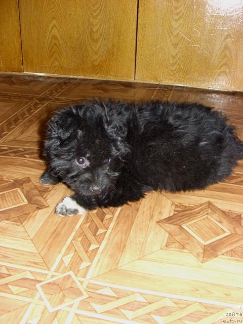 Фотография № 35355