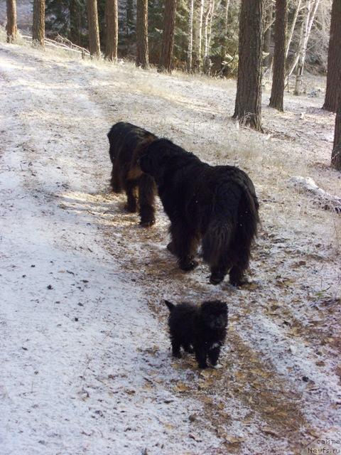 Фотография № 35356