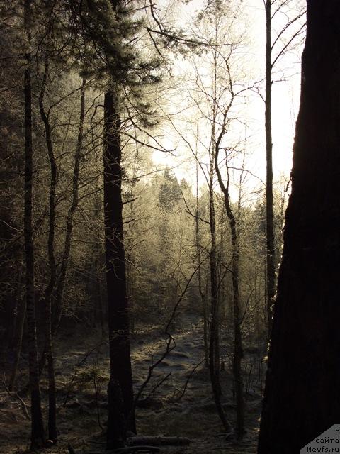 Фотография № 35357