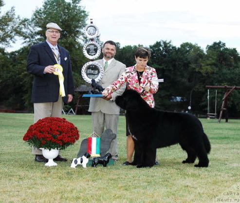 Фотография № 35390