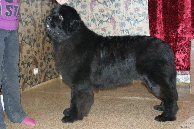 Фотография № 35411