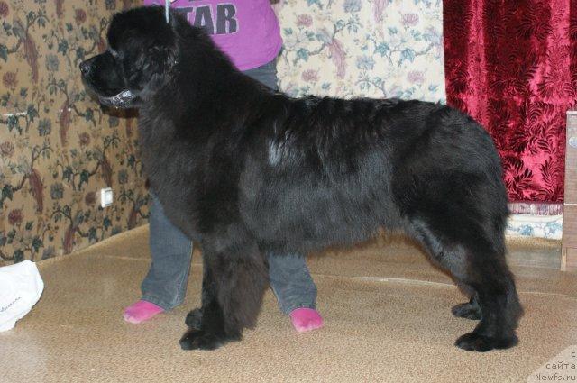 Фотография № 35413