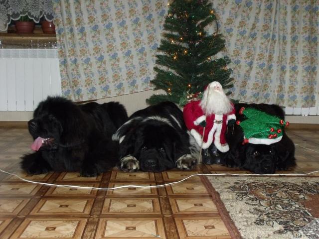 Фотография № 35430