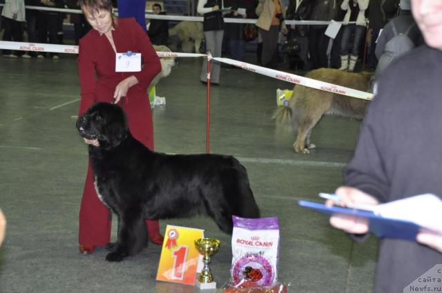 Фотография № 35459