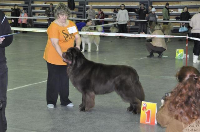 Фотография № 35460