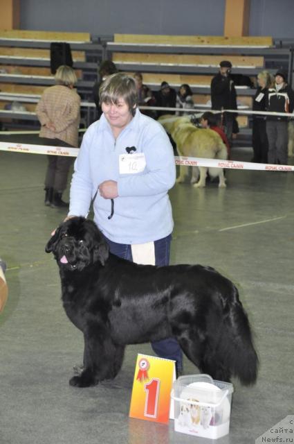 Фотография № 35462