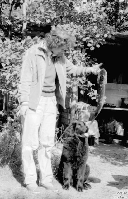 Фотография № 35467