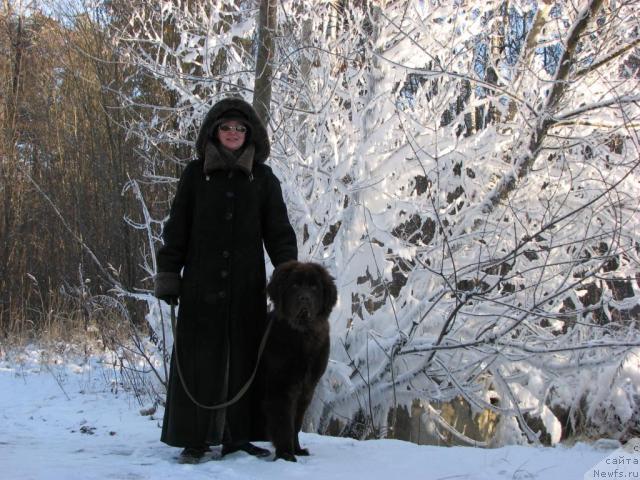 Фото: ньюфаундленд Аристократ от Рафаэллы