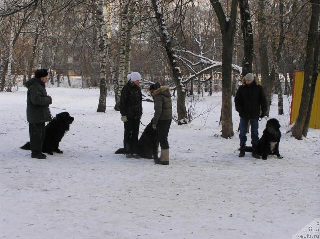 Фотография № 35575