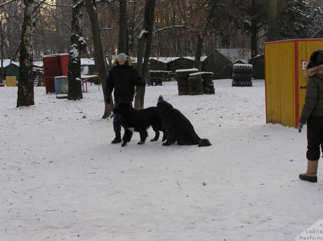 Фотография № 35577