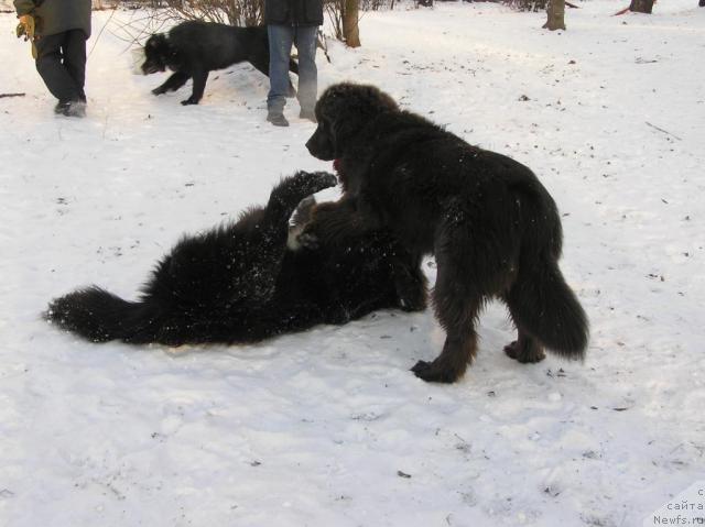 Фотография № 35580