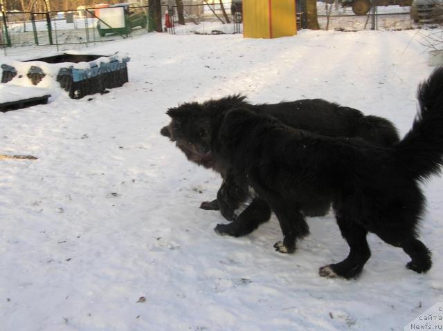 Фотография № 35582