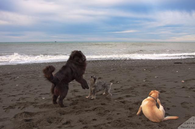 Фотография № 35613