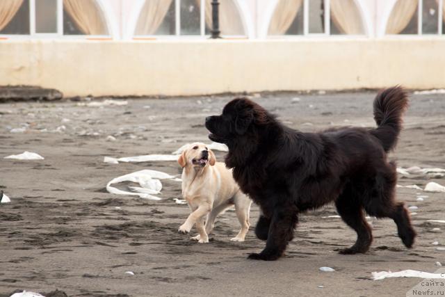 Фотография № 35616