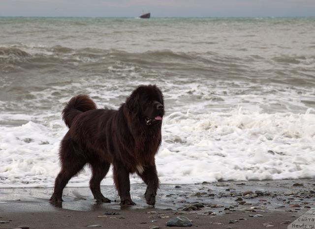 Фотография № 35617