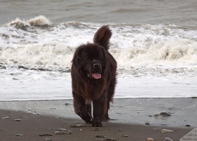 Фотография № 35623