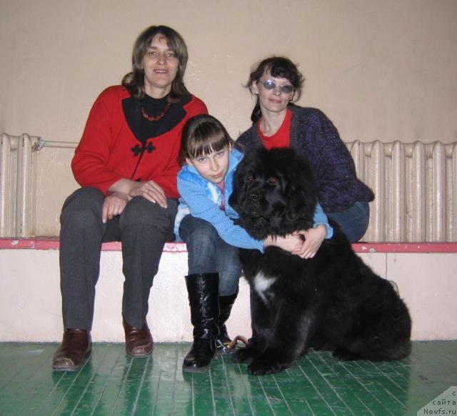 Фото: ньюфаундленд Малая Медведица из Племени Кедра