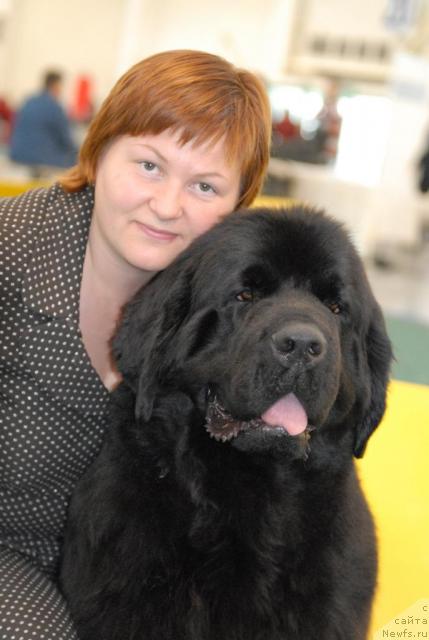 Фото: ньюфаундленд Акватория Келвин Звездная Королева (Aquatoriya Kelvin Zvezdnaya Koroleva), Татьяна Абутова