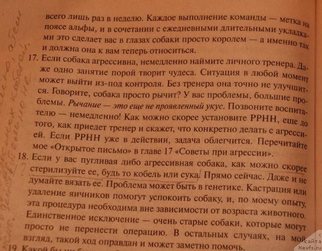 Фотография № 35650