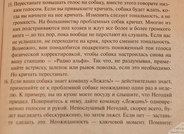 Фотография № 35651