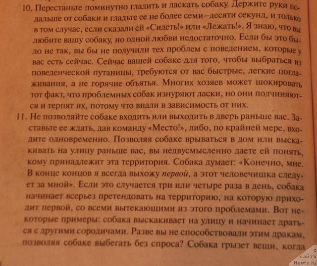 Фотография № 35653